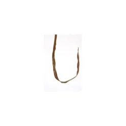 32.5" Cymidium Leaf in Brown Green  (Set of 48)