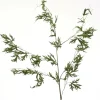 Delphinium Foliage Vine in Green   (Set of 12)