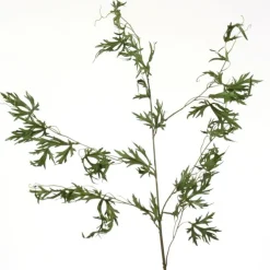 Delphinium Foliage Vine in Green   (Set of 12)