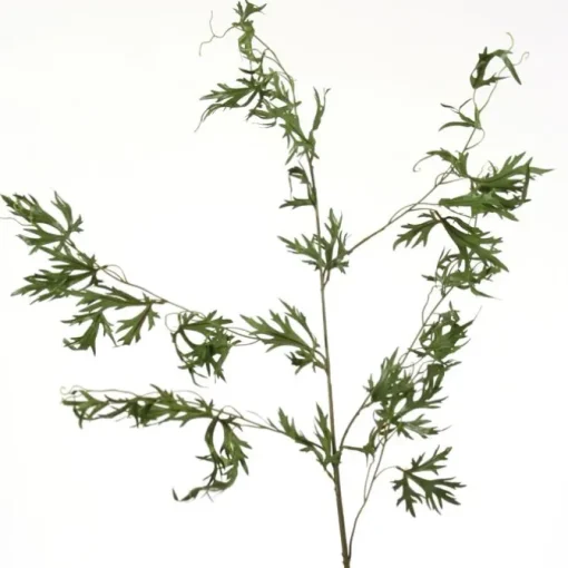 Delphinium Foliage Vine in Green   (Set of 12)