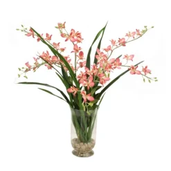 Dendrobium Orchid with Foliage