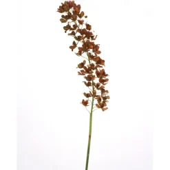53" Dendrobium Stem in Brown Yellow  (Sold in Multiples of 6)
