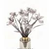 Double Iris Gray  (Sold in Multiples of 4)