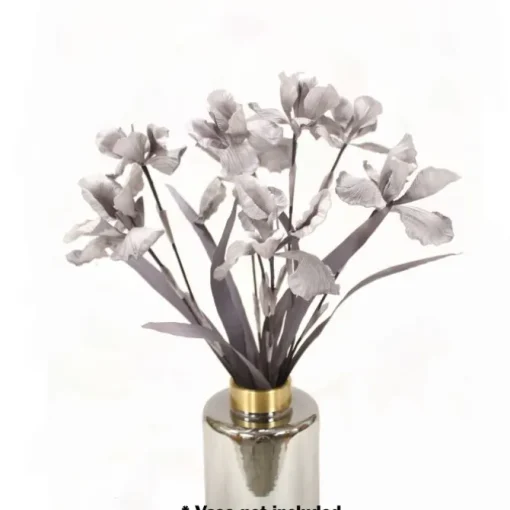 Double Iris Gray  (Sold in Multiples of 4)