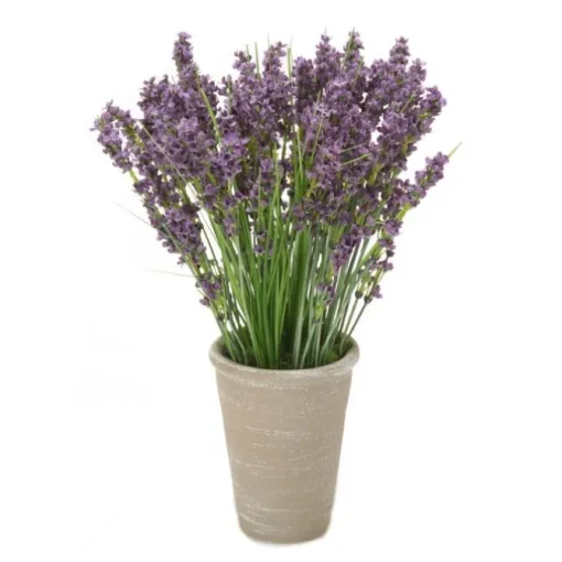 Dried Lavender in Grey Planter (Pk 2)