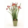 Dutch Iris and Mixed Grasses in Basil Finished French Pot