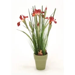 Dutch Iris and Mixed Grasses in Basil Finished French Pot