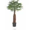 8' Fan Palm Tree in Plastic Pot