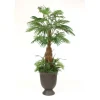 8' Fan Palm with Ground Cover in Black Bean Finish Concrete Container
