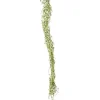22" Felix Vine Cream Green   (Set of 24)