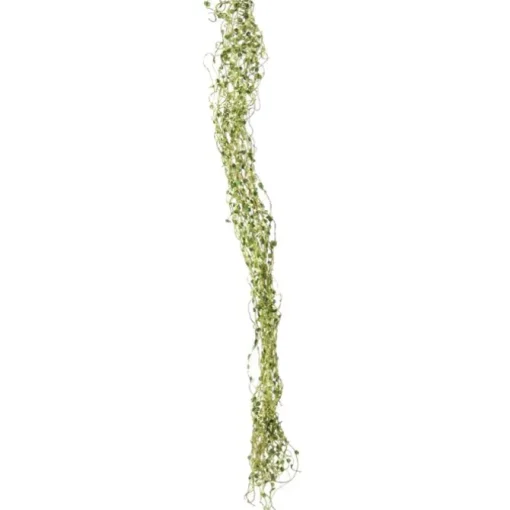 22" Felix Vine Cream Green   (Set of 24)