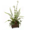 Fern Mix in Basket