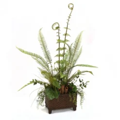 Fern Mix in Basket