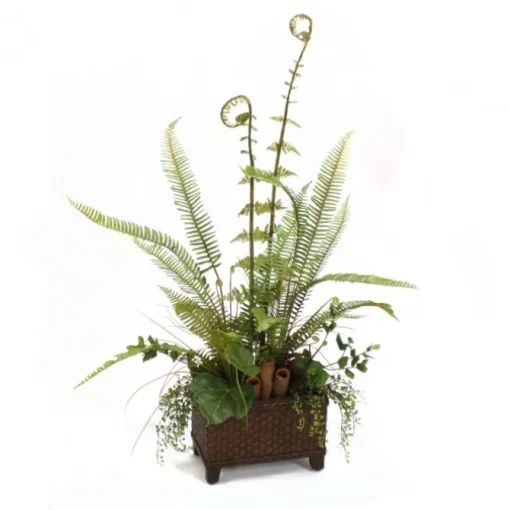 Fern Mix in Basket