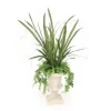Fern with Cymbidium Foliage and Ivy in Grey Classic Urn