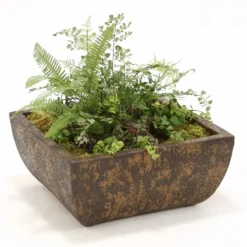 Ferns and Succulents in Square Crackled Deep Chocolate Stone Tray