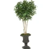 8' Ficus Tree in Rust Finish Resin Classic Urn