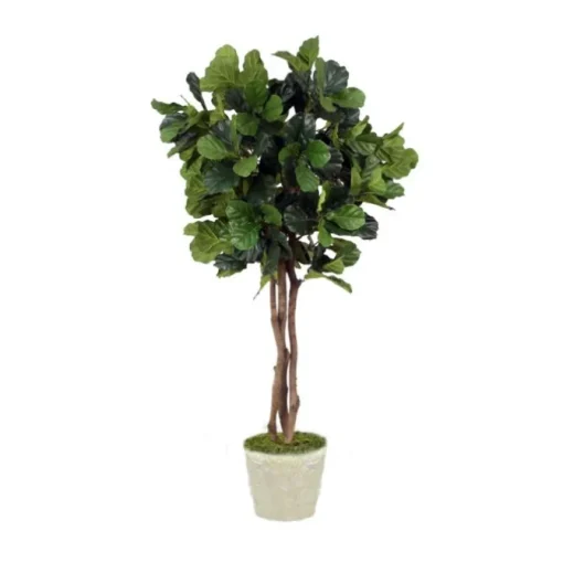 7' Fiddle Leaf Fig Tree in Foam Mold