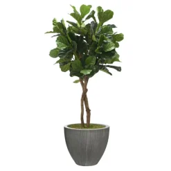 6' Fiddle Leaf Tree Dark Grey Vertically Ridge Planter