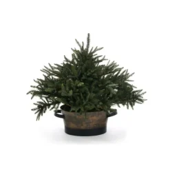 Fir Tree in Oval Antique Planter