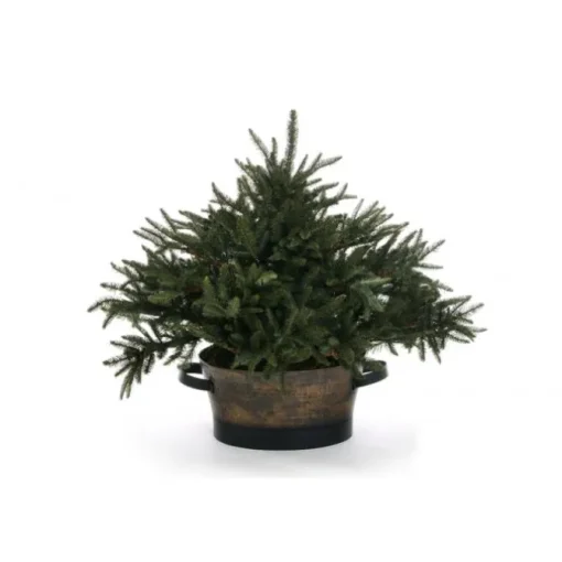 Fir Tree in Oval Antique Planter