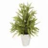 Fir Tree in White Pot