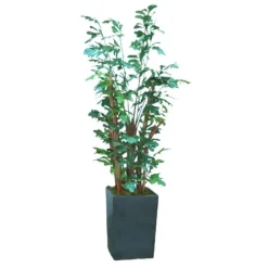 Fishtail Palm Tree in Square Metal Planter