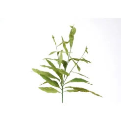 Fox Glove Leaf in Green