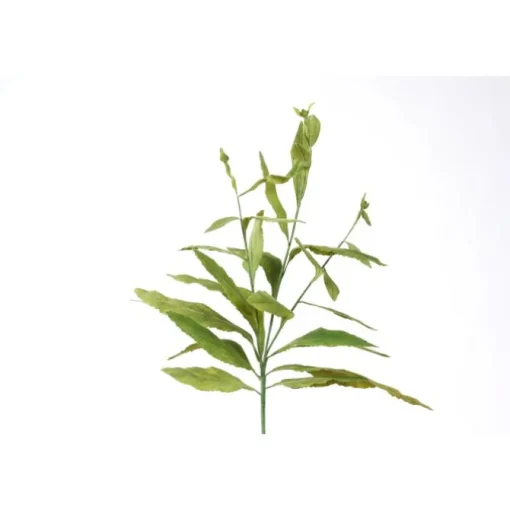 Fox Glove Leaf in Green