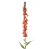 Foxglove in Rose Gold (Sold in Multiples of 12)