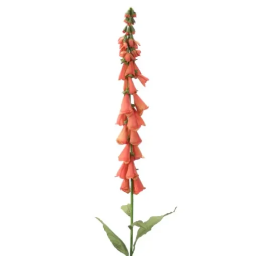 Foxglove in Rose Gold (Sold in Multiples of 12)