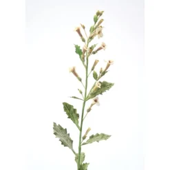 33" Foxglove Spray in Cream Brown (Sold in Multiples of 12)