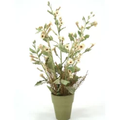 Foxglove Stem in Terra Cotta Pot