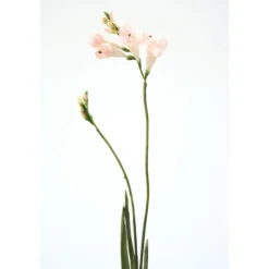 Freesia Spray in Champagne Pink  (Sold in Multiples of 24)