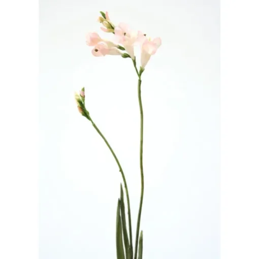Freesia Spray in Champagne Pink  (Sold in Multiples of 24)