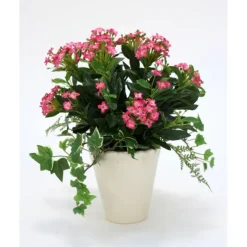 Fuchsia Kalanchoe and Ivy Plant in Beige Ceramic (Sold in Multiples of 2)