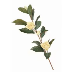 Gardenia Spray x 2
