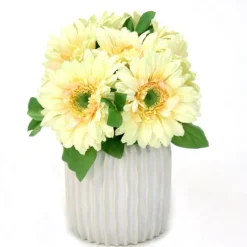 Gerber Daisy in White Haven Pot