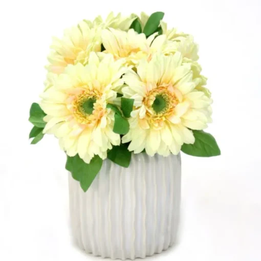 Gerber Daisy in White Haven Pot