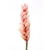Ginger Torch in Soft Pink Petals and a Rose Red Center