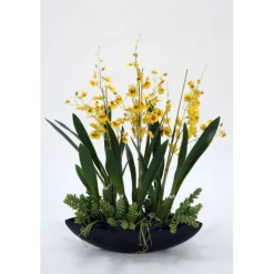 Gold Oncidium and Succulents in Black Oval Ceramic Planter