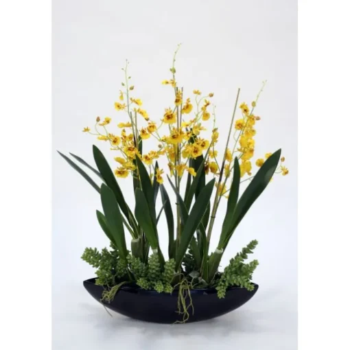 Gold Oncidium and Succulents in Black Oval Ceramic Planter