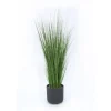 Grass in Black Wash Pot