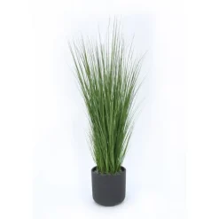 Grass in Black Wash Pot
