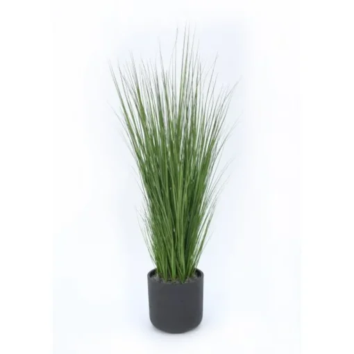 Grass in Black Wash Pot