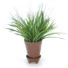 Grass in Chocolate Flower Pot