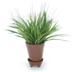 Grass in Chocolate Flower Pot