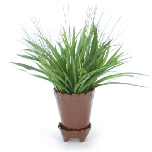 Grass in Chocolate Flower Pot