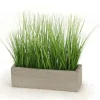 Grass in Concrete Window Box