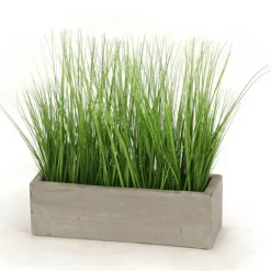 Grass in Concrete Window Box
